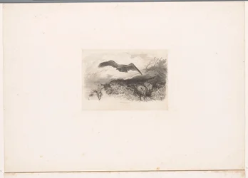 Flying Eagle
