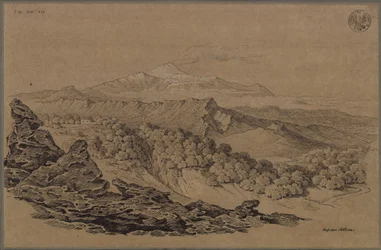 “Drawn in the Forest Region of Mount Etna”