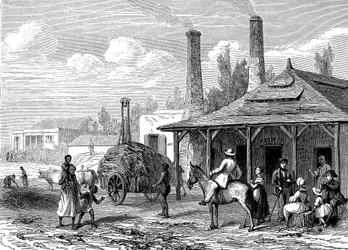 Sugar Plant in Mauritius in 1863