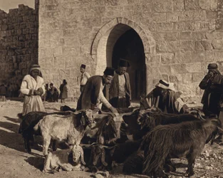 Jerusalem, Market at the Gate of Herod