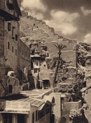 Mar Saba, Palm of St Sabas