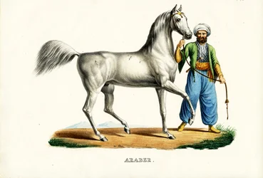 Arab Horse (1824)