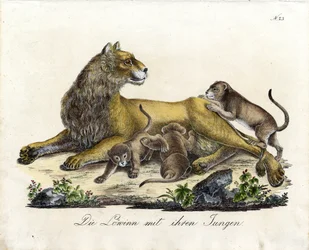 Lioness with Her Cubs