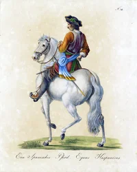 The Spanish Horse