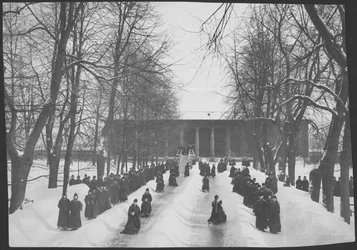 Sledding