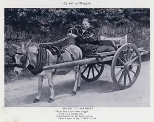 Going to Market