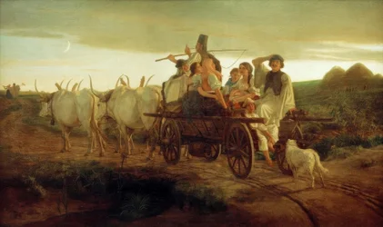 Ox Team