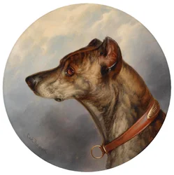 Dog Portrait