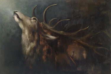 Dying Deer