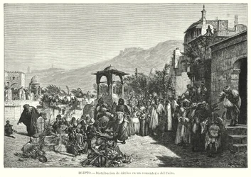 Distribution of Dates in a Cemetery, Cairo, Egypt