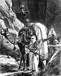 Heads of Rebels, 1881