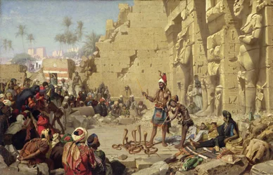 The Snake Charmer