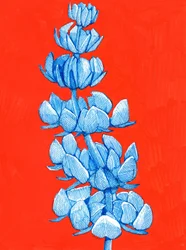 Bold Blue Bloom
