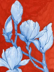Bold Blue Magnolias