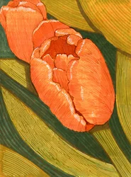 Bright Orange Tulips with Green Leaf Line Drawing