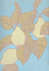 Pears on Blue Branch