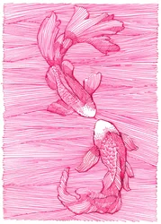 Pink Koi Dance