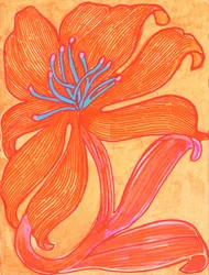 Vibrant Orange Lily