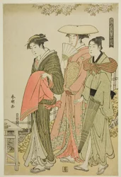 Flowers, from the series 
