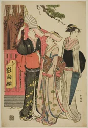 Three Women at the Base of a Sacred Pine Tree