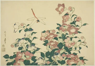 Bell-Flower and Dragonfly, from an Untitled Series of Large Flowers