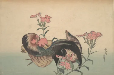 Cock, Hen, and Nadeshiko Dianthus superbus.