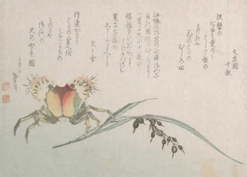 Crab and Rice Plant, 19th century
