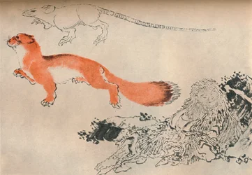 Drawing by Hokusai, c1780-1849, 1929