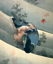 Duck Swimming in Water, 1847