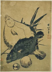 Flatfish, Scorpion Fish, and Shells, from an Untitled Series of Chuban Prints