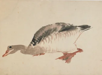 Goose, late 18th-early 19th century