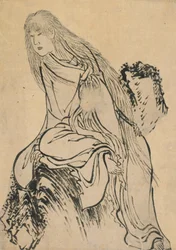 Hermit Resting on a Rock