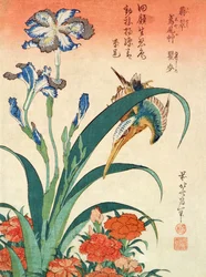 Kingfisher, Iris and Pinks, c.1832