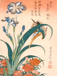 Kingfisher, Irises and Pinks