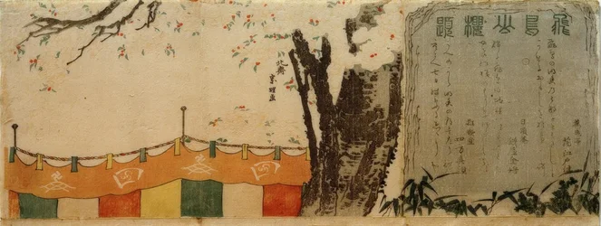 Cherry Trees on the Hill of Asuka