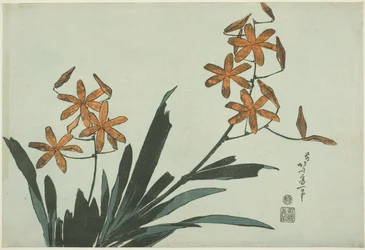 Orange Orchids, from an untitled series of flowers