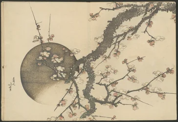 Plum Blossom and the Moon from the Book Mount Fuji in Spring