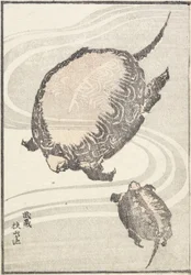 Sayama-ga-ike Pond in Musashi Province, 1817