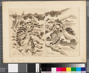 Scenes from the War Between Japan and Korea, End of 18th-First Half of 19th Century