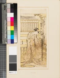 Segawa Kikinojō outside a house playing the part of a Hoso-ya courtesan
