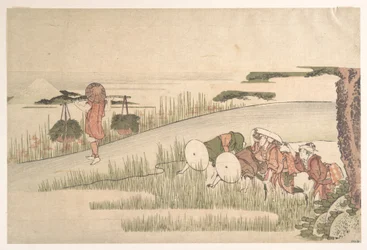 Spring in the Rice Fields