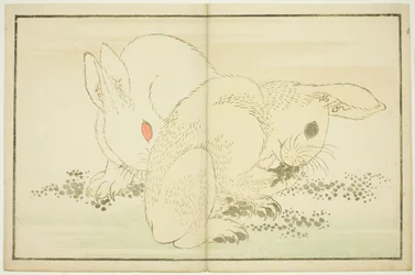 Two Rabbits, from The Picture Book of Realistic Paintings of Hokusai