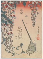 Wagtail and Wisteria, Edo Period