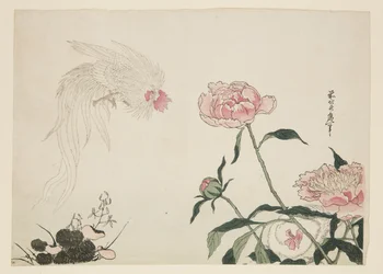 Long Tail Roosters among Flowers