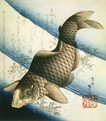 A Carp Swimming among Waterweeds, c.1832