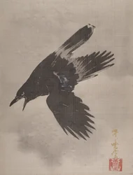 Crow Flying in the Snow