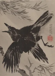 Crow and Willow Tree