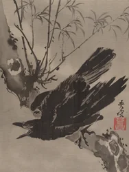 Crow on a Branch