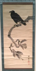 Crow on Pine Branch