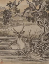 Deer and Monkeys